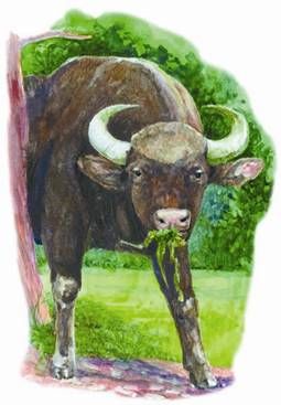 Юлия Рычкова - Вымершие животные