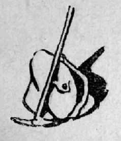 Кирилл Станюкович - Тропою архаров