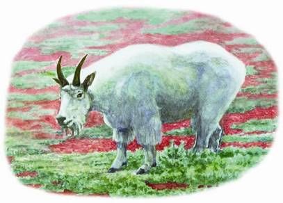 Юлия Рычкова - Вымершие животные