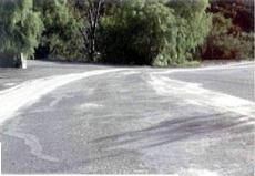 Ли Паркс - Полный контроль