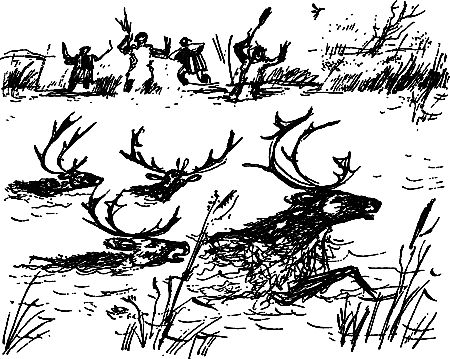 Сергей Покровский, Александр Линевский и др. - Жертвы дракона