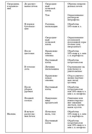 Наталья Иванова - Борьба с вредителями