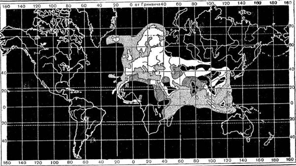 Константин Кунин - Васко да Гама