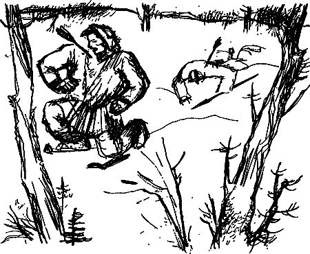 Сергей Покровский, Александр Линевский и др. - Жертвы дракона