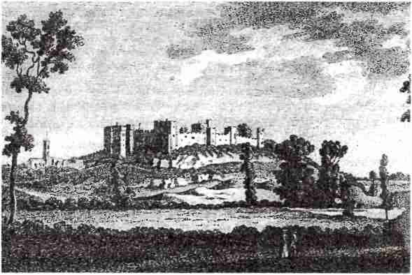 Дэвид Лоудз - Генрих VIII и его королевы