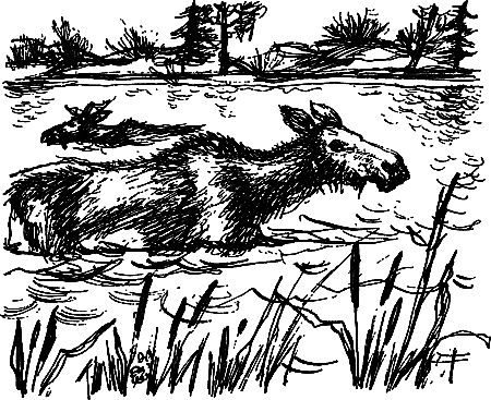 Сергей Покровский, Александр Линевский и др. - Жертвы дракона