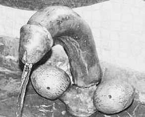 Павел Тюрин - Legenda о "писающем британце"