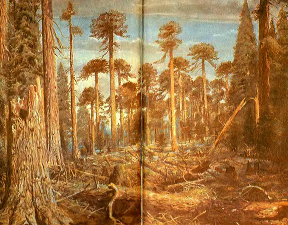 Сергей Покровский, Александр Линевский и др. - Жертвы дракона