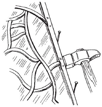 Елена Каминская - Витражи своими руками