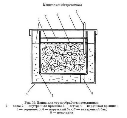 Наталья Иванова - Борьба с вредителями