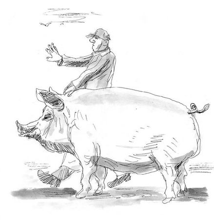 Марина Москвина - Загогулина