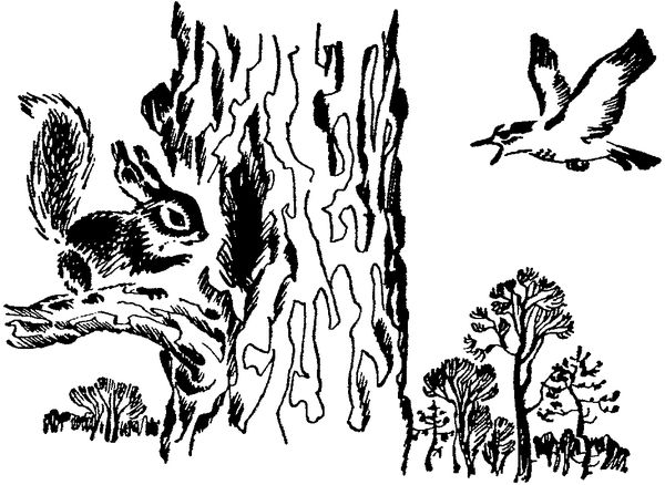 Софья Радзиевская - Лесная быль. Рассказы и повести