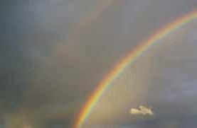 Павел Тюрин - Legenda о "писающем британце"