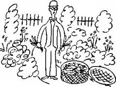 Карел Чапек - Год садовода