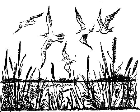 Сергей Покровский, Александр Линевский и др. - Жертвы дракона