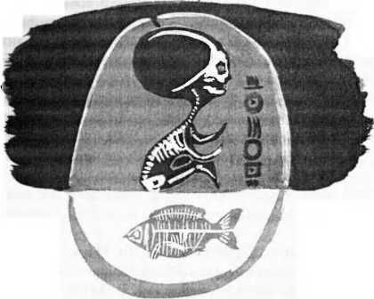 Бурислав Сервест - Магия бессмертия. Главный барьер