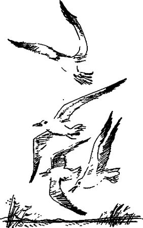 Сергей Покровский, Александр Линевский и др. - Жертвы дракона