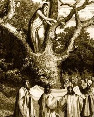 Томас Балфинч - Всеобщая мифология. Часть III. Божества иных народов