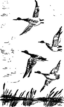 Сергей Покровский, Александр Линевский и др. - Жертвы дракона