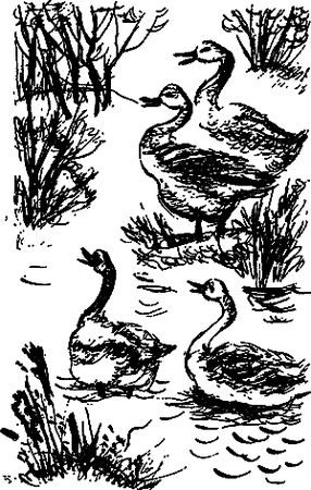 Сергей Покровский, Александр Линевский и др. - Жертвы дракона