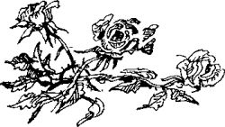 Стихотворения и баллады