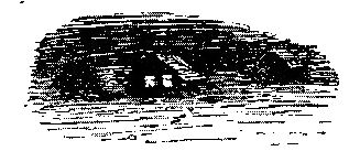 Люди нашего берега [Рассказы]