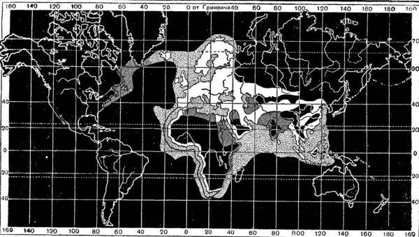 Константин Кунин - Васко да Гама