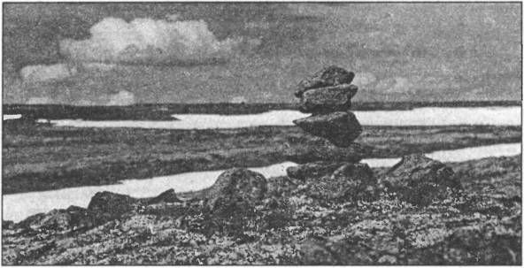 Валерий Дёмин - Русь нордическая