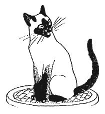 Дорин Тови - Появление Сесса