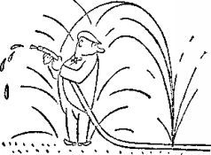 Карел Чапек - Год садовода