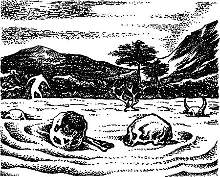 Сергей Покровский, Александр Линевский и др. - Жертвы дракона