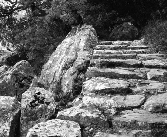 Павел Троицкий - Афонские встречи