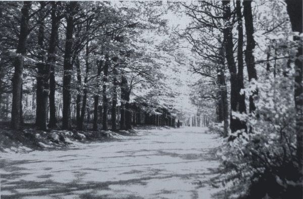 Андре Моруа - Голландия