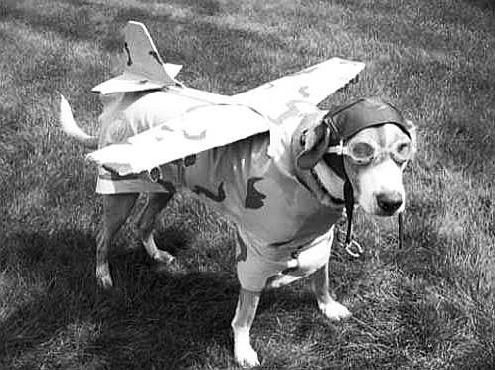 Павел Тюрин - Legenda о "писающем британце"