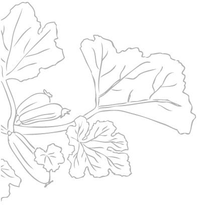 Юлия Меньшикова - Тонкие материи, или Туманы лондонских улиц