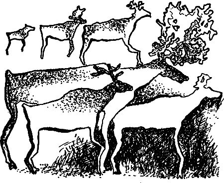 Сергей Покровский, Александр Линевский и др. - Жертвы дракона