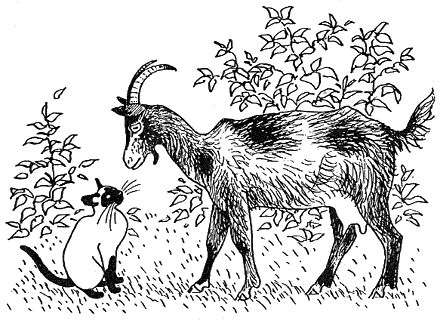 Дорин Тови - Появление Сесса