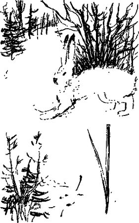 Сергей Покровский, Александр Линевский и др. - Жертвы дракона