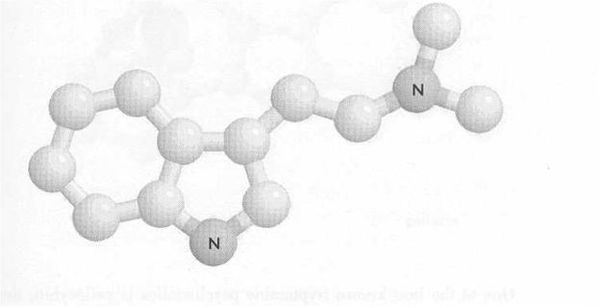 Рик Страссман - ДМТ - Молекула духа