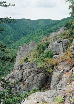 Влада Макарычева - Дальний Восток. Путеводитель