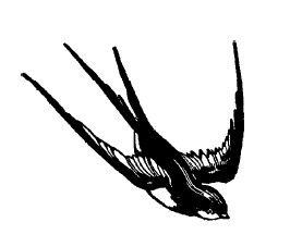 Сергей Есенин - Не жалею, не зову, не плачу...