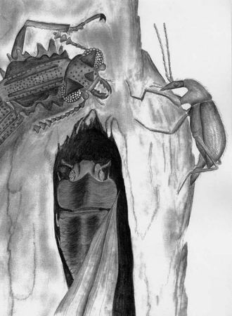 Джордж Пойнар, мл., Роберт Пойнар - Кто кусал динозавров?