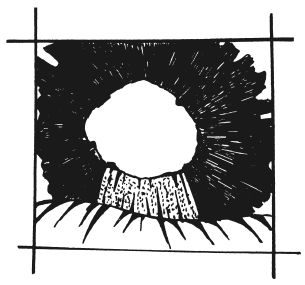Татьяна Шнуровозова - Вышиваем гладью цветы и картины
