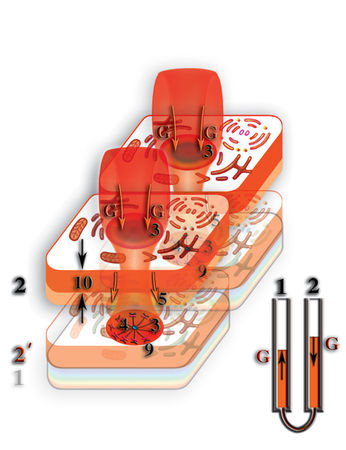 Николай Левашов - Неоднородная Вселенная
