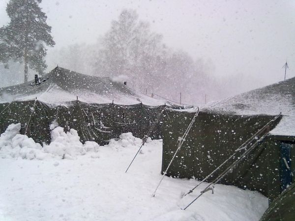 Дмитрий Корнилов - Год в армии