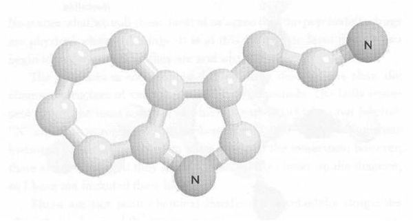 Рик Страссман - ДМТ - Молекула духа