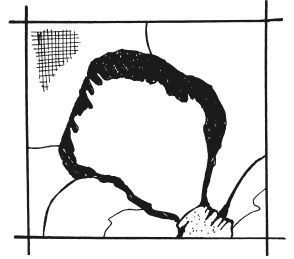 Татьяна Шнуровозова - Вышиваем гладью цветы и картины