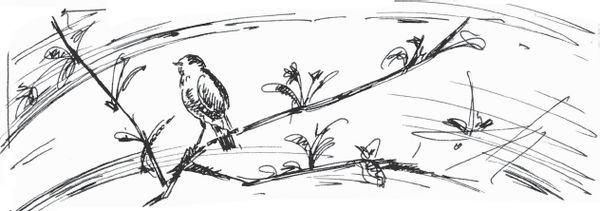 Татьяна Вязникова, Александр Голод - Огородный календарь