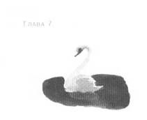 Анника Тор - Пруд Белых Лилий