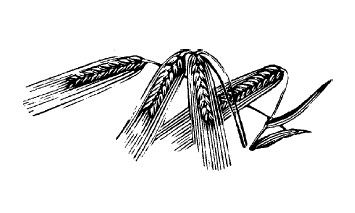 Сергей Есенин - Не жалею, не зову, не плачу...